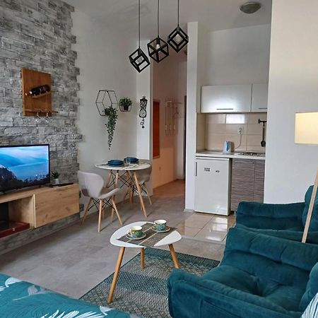 Apartment Centrum - Free Private Parking Novi Sad Extérieur photo